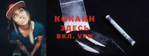 ПСИЛОЦИБИНОВЫЕ ГРИБЫ Горняк