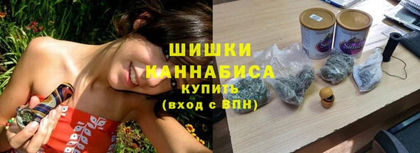 ПСИЛОЦИБИНОВЫЕ ГРИБЫ Горняк